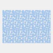 フローラ19" x 29"ラッピング紙シート、マット ラッピングペーパーシート (正面2)