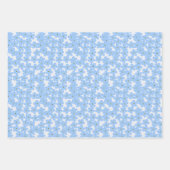 フローラ19" x 29"ラッピング紙シート、マット ラッピングペーパーシート (正面)