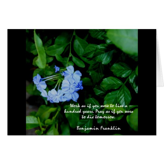 フローラ やる気を起こさせる (正面横)