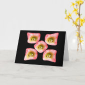 フローラ カード (黄色い花)