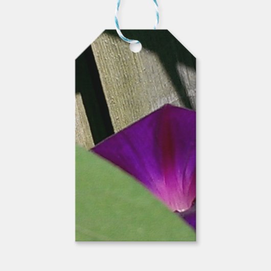 フローラ ギフトタグ (正面)