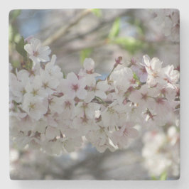 フローラ ストーンコースター