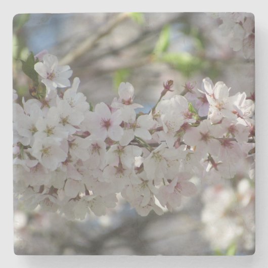 フローラ ストーンコースター (正面)