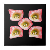 フローラ タイル (正面)