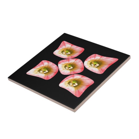 フローラ タイル (側面)