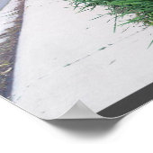 フローラ（パスに沿って） ポスター (角)