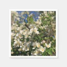 フローラ フェミニン