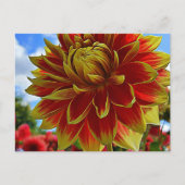 フローラ ポストカード (正面)