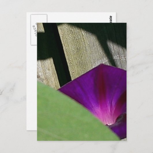 フローラ ポストカード (正面/裏面)