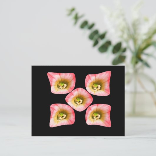 フローラ ポストカード (スタンド正面)