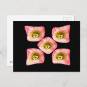 フローラ ポストカード (正面/裏面)