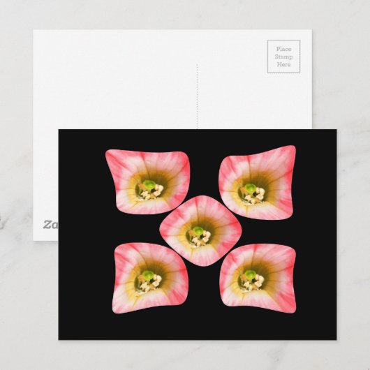 フローラ ポストカード (正面/裏面)