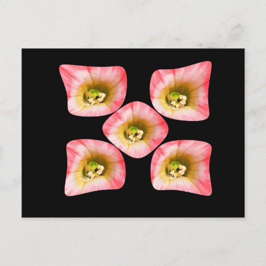 フローラ ポストカード (正面)