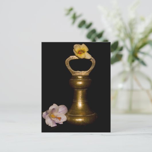 フローラ ポストカード (スタンド正面)