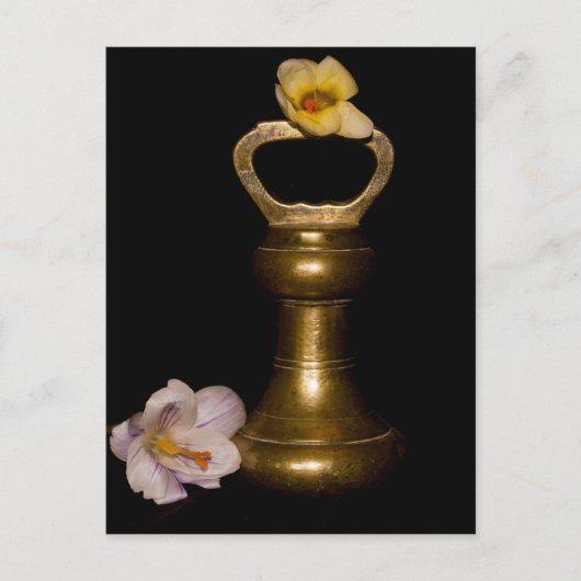 フローラ ポストカード (正面)