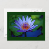 フローラ ポストカード (正面/裏面)