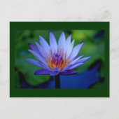 フローラ ポストカード (正面)