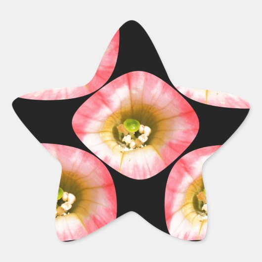 フローラ 星シール (正面)