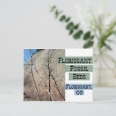 フローリサン化石ベッド ポストカード (スタンド正面)