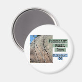 フローリサン化石ベッド マグネット (正面/裏面)