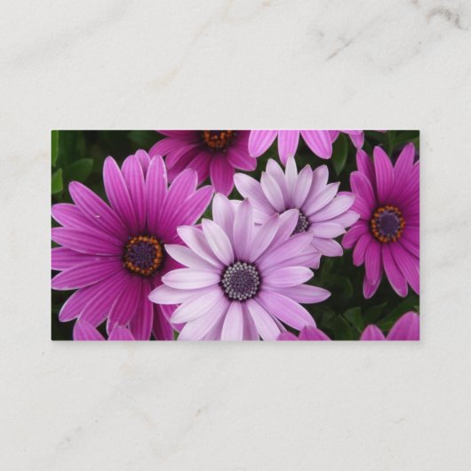 フローリストデザイナーフシャデイジー 名刺 (裏面)