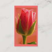 フローリスト – ブルーピンクロース 名刺 (裏面)