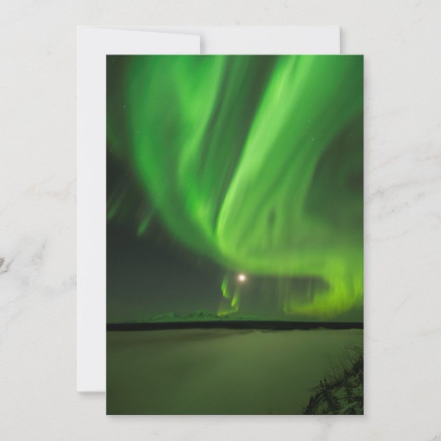 フローリングオーロラ (正面)