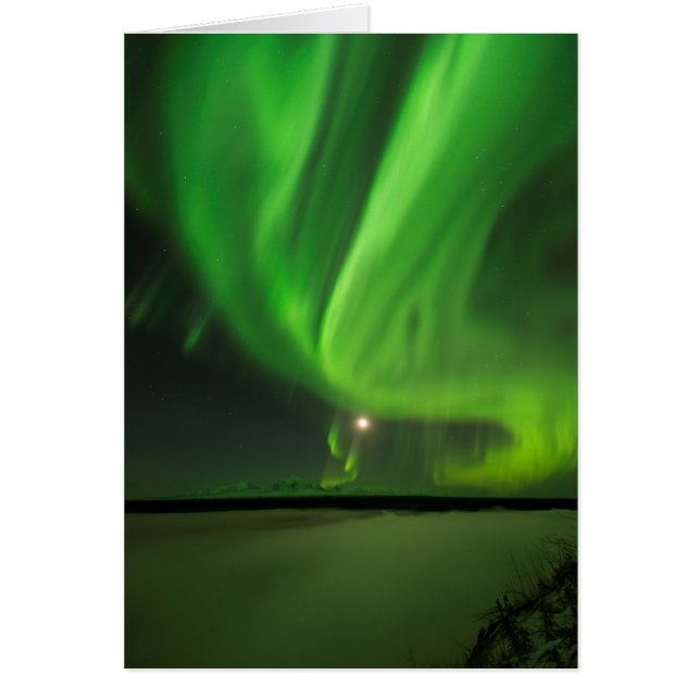 フローリングオーロラ (正面)