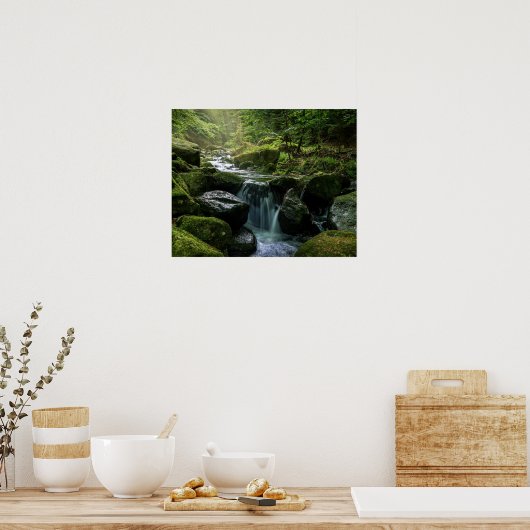 フローリングクリーク、緑の苔むした岩、森の自然 ポスター (キッチン)