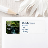 フローリングクリーク、緑の苔むした岩、森の自然 ラベル (インサイチュ)