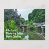 フローリングブリッジレイクルアーノースカロライナの写真 ポストカード (正面)