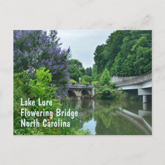 フローリングブリッジレイクルアーノースカロライナの写真 ポストカード (正面)