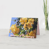 フローリングレインボーシャワーツリーカード サンキューカード (裏面)