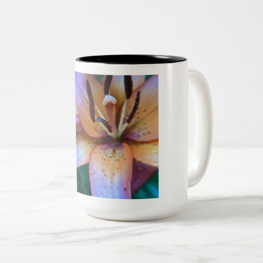 フローリーコーヒーマグ ツートーンマグカップ (正面右)