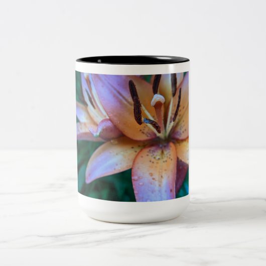 フローリーコーヒーマグ ツートーンマグカップ (中央)