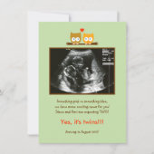 フロールズ写真の妊娠告知 案内状 (正面)