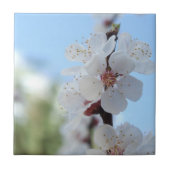 フローレアルセラミックタイル タイル (正面)