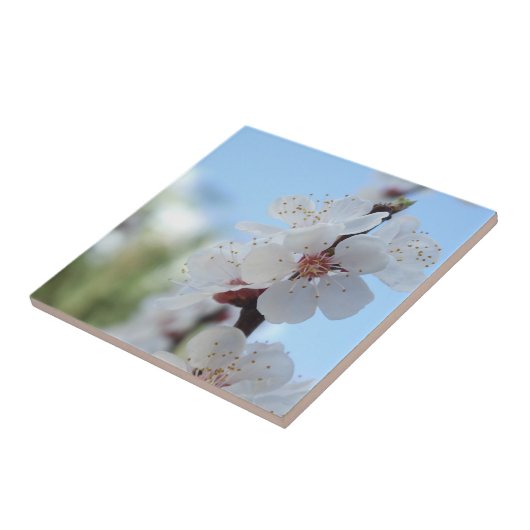 フローレアルセラミックタイル タイル (側面)