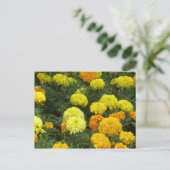 フローレスクラベレス ポストカード (スタンド正面)