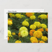 フローレスクラベレス ポストカード (正面/裏面)