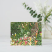 フローレス・アン・アイボト ポストカード (スタンド正面)