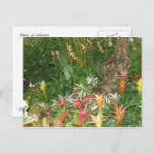 フローレス・アン・アイボト ポストカード (正面/裏面)