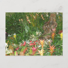 フローレス・アン・アイボト ポストカード