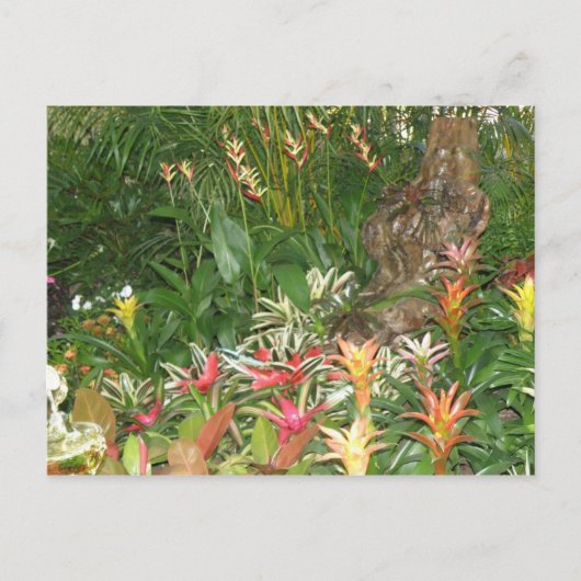 フローレス・アン・アイボト ポストカード (正面)