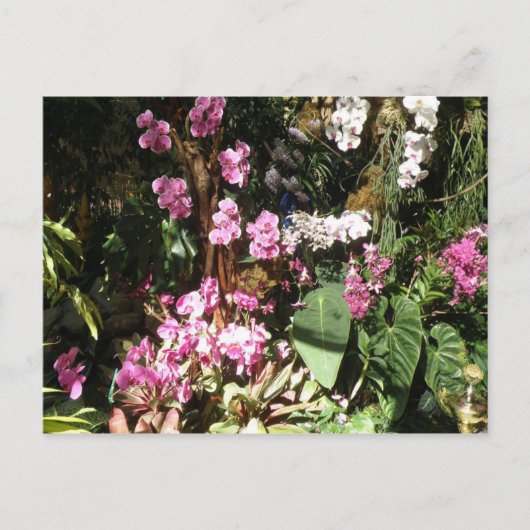 フローレス・ド・オルキアイズ ポストカード (正面)