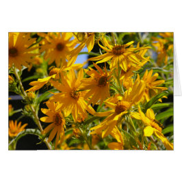 フローレスen mi hierbas "私の雑草の花"