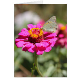 フローレスen mi hierbas "私の雑草の花"