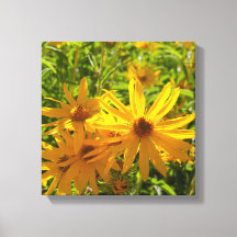 フローレスen mi hierbas "私の雑草の花"