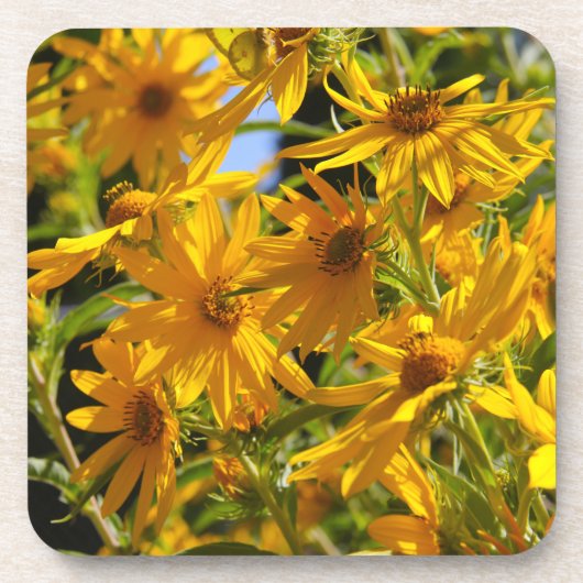 フローレスen mi hierbas "私の雑草の花" コースター (正面)