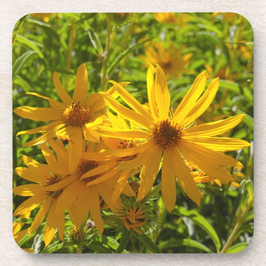 フローレスen mi hierbas "私の雑草の花" コースター (正面)